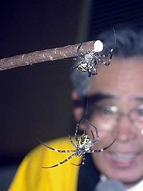 The moment the upper spider cuts the dragline.