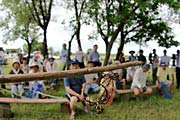 熊本くも合戦戦うコガネグモの写真へ