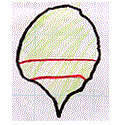 ݂̍肩P