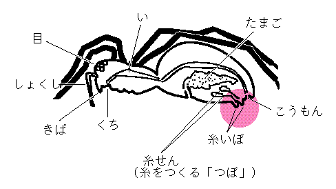 いと く もの 芥川龍之介が「蜘蛛の糸」を書いた意図は何だろうか？