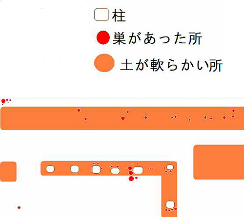 庭のジグモ分布図