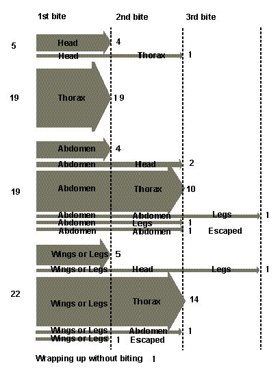 The relationship between which parts of its prey the spider bit and the subsequent action of the spider.