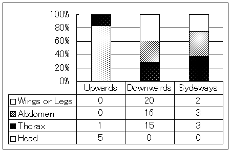 The correlation between the position of the prey and on which part of the prey the spider bit in the first instance. (n=65)